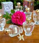Les parfums de mon CE