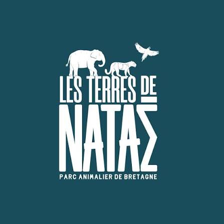 Les Terres de Nataé : les animaux de lumière